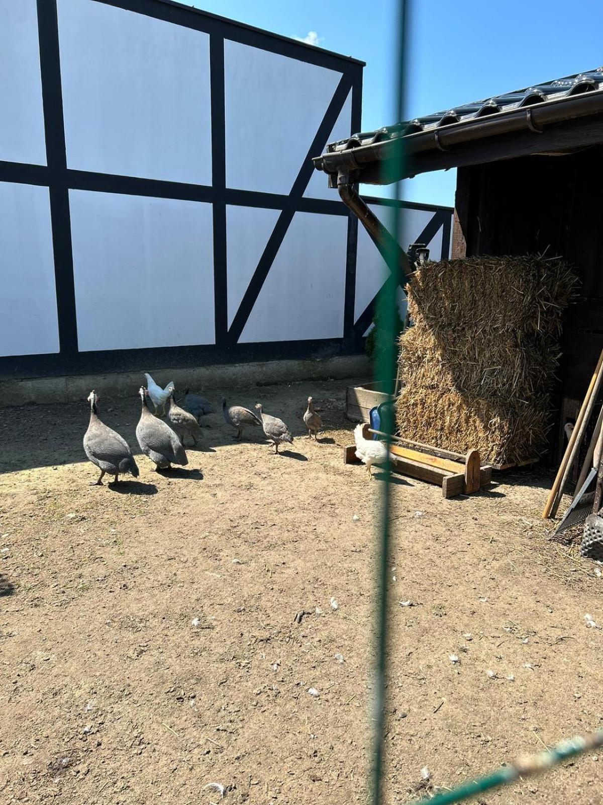 Pokoje Goscinne Nad Morzem Bobolin Extérieur photo